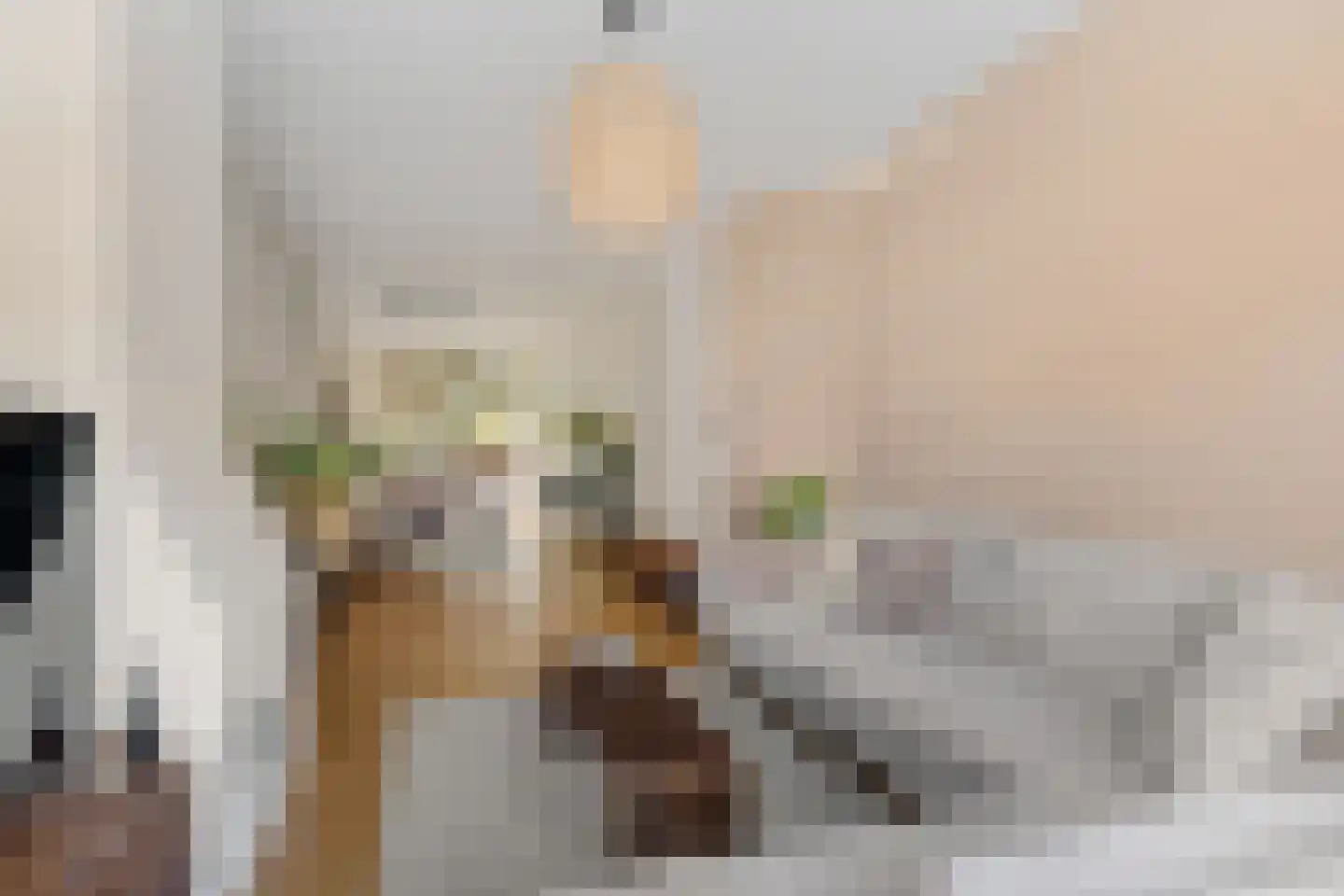 van Halewijnlaan 185 Voorburg thumbnail 9