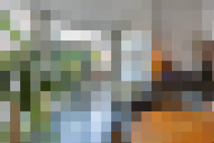 van Halewijnlaan 196 Voorburg thumbnail 11