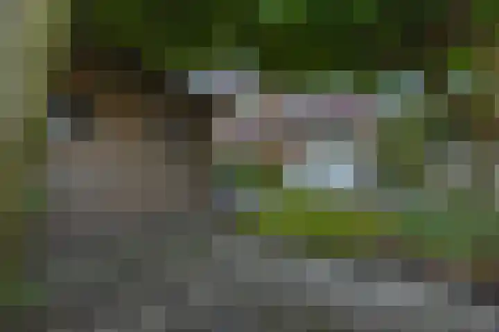 van Halewijnlaan 196 Voorburg thumbnail 15