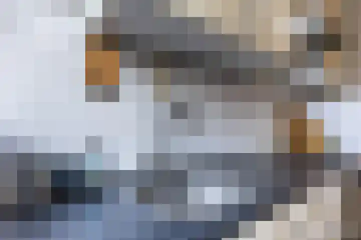 van Halewijnlaan 196 Voorburg thumbnail 23