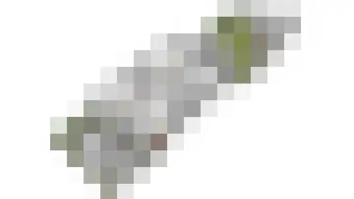 van Halewijnlaan 196 Voorburg thumbnail 37