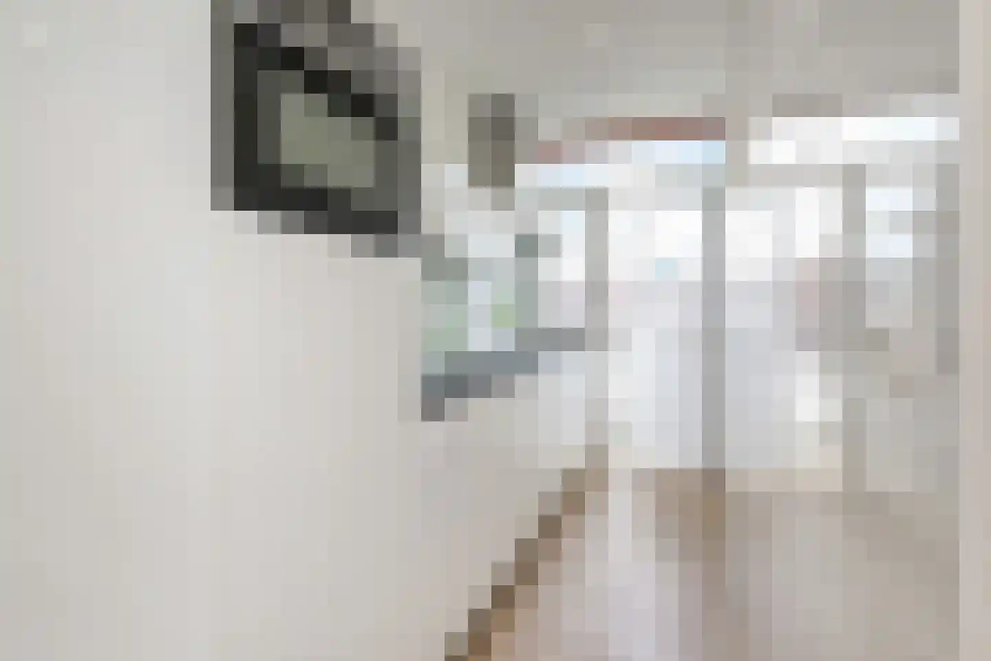 van Halewijnlaan 202 Voorburg thumbnail 15
