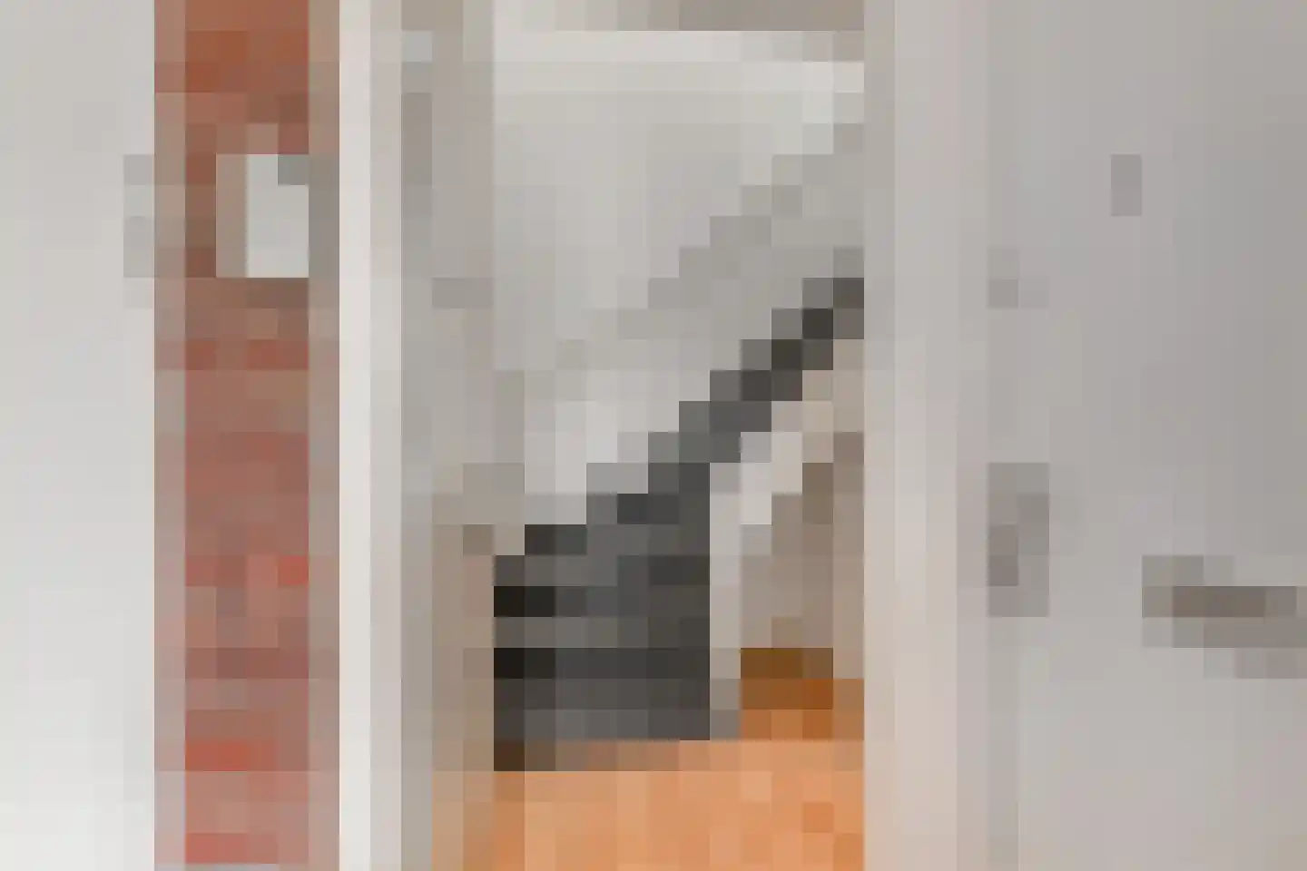van Halewijnlaan 202 Voorburg thumbnail 6