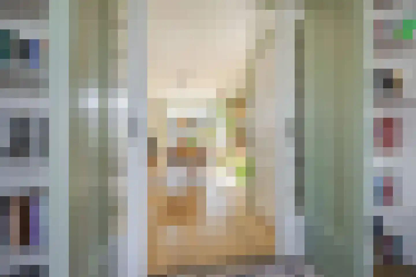 van Halewijnlaan 203 Voorburg thumbnail 14