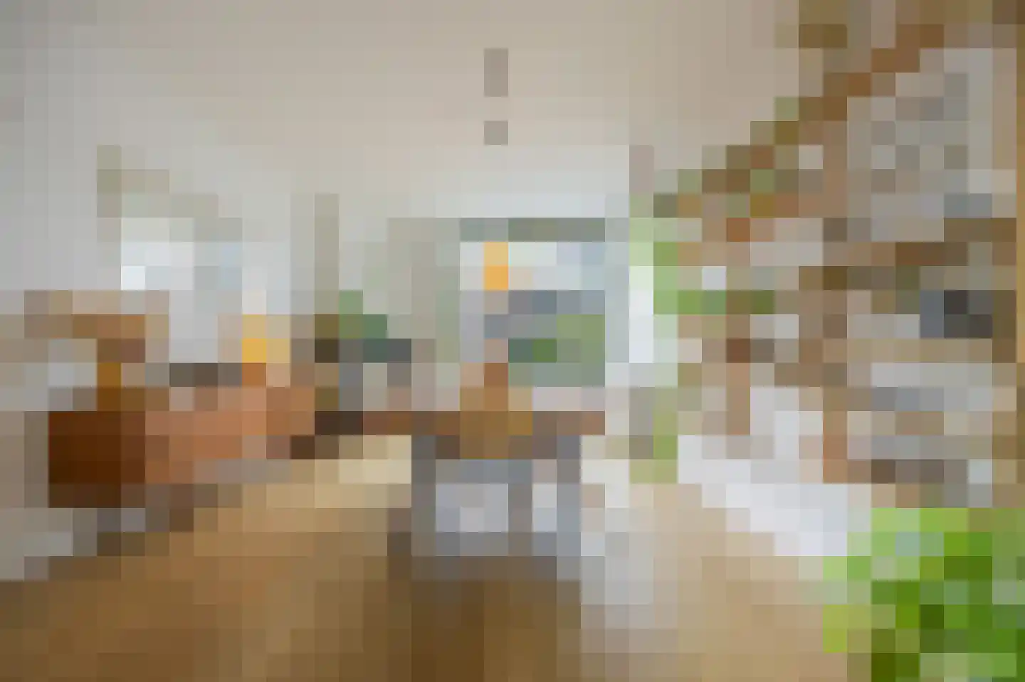 van Halewijnlaan 203 Voorburg thumbnail 16