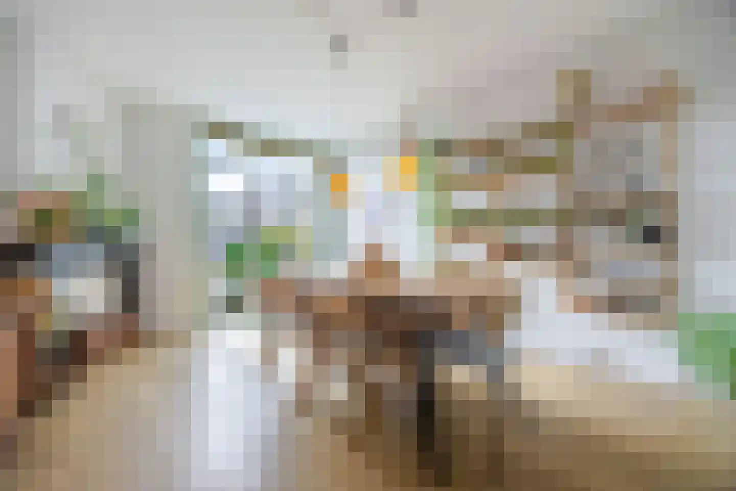 van Halewijnlaan 203 Voorburg thumbnail 17