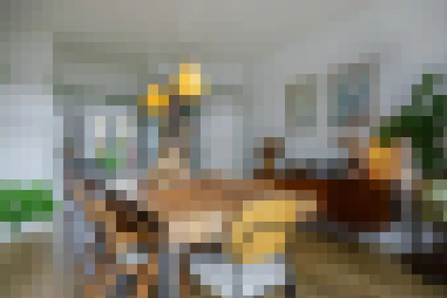 van Halewijnlaan 203 Voorburg thumbnail 22