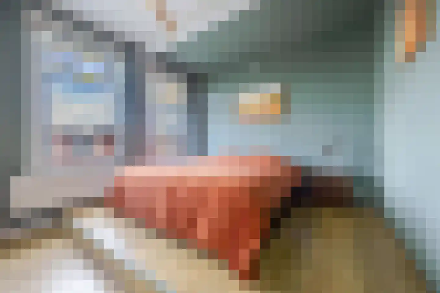 van Halewijnlaan 203 Voorburg thumbnail 25