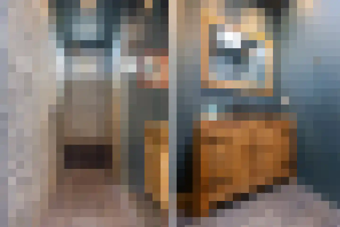 van Halewijnlaan 203 Voorburg thumbnail 29