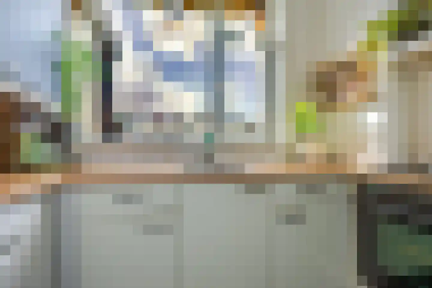 van Halewijnlaan 203 Voorburg thumbnail 32