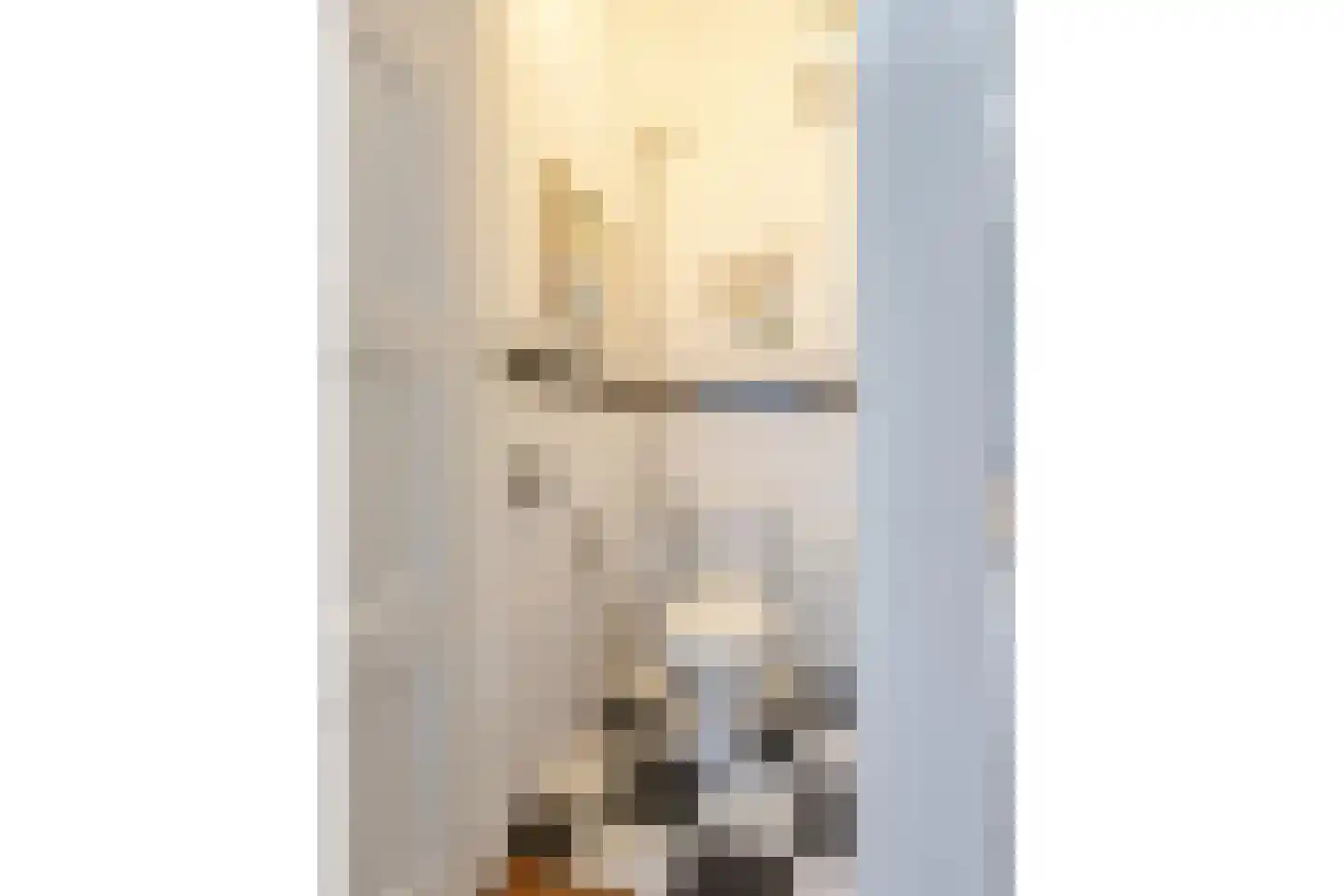 van Halewijnlaan 203 Voorburg thumbnail 35