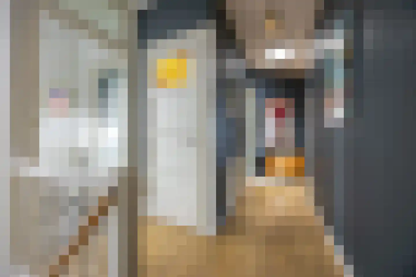 van Halewijnlaan 203 Voorburg thumbnail 37