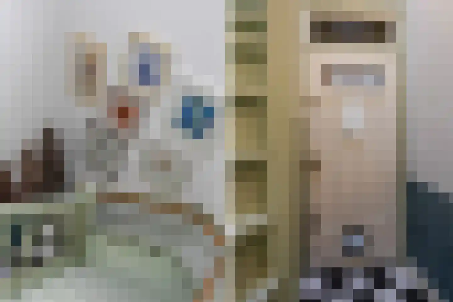 van Halewijnlaan 203 Voorburg thumbnail 38
