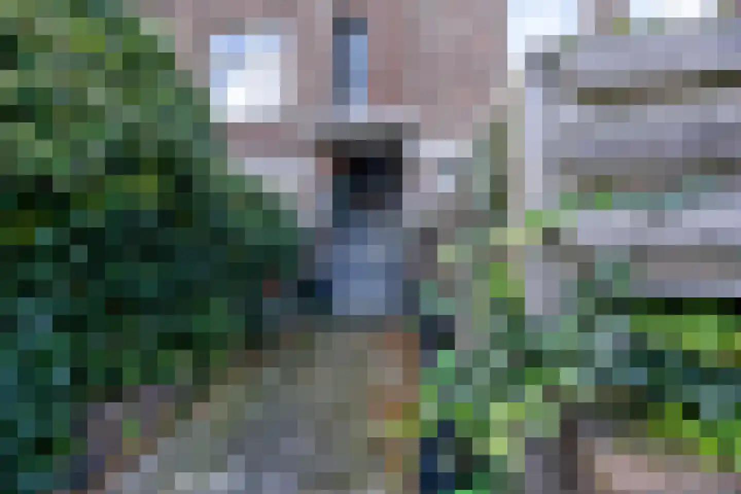 van Halewijnlaan 203 Voorburg thumbnail 39