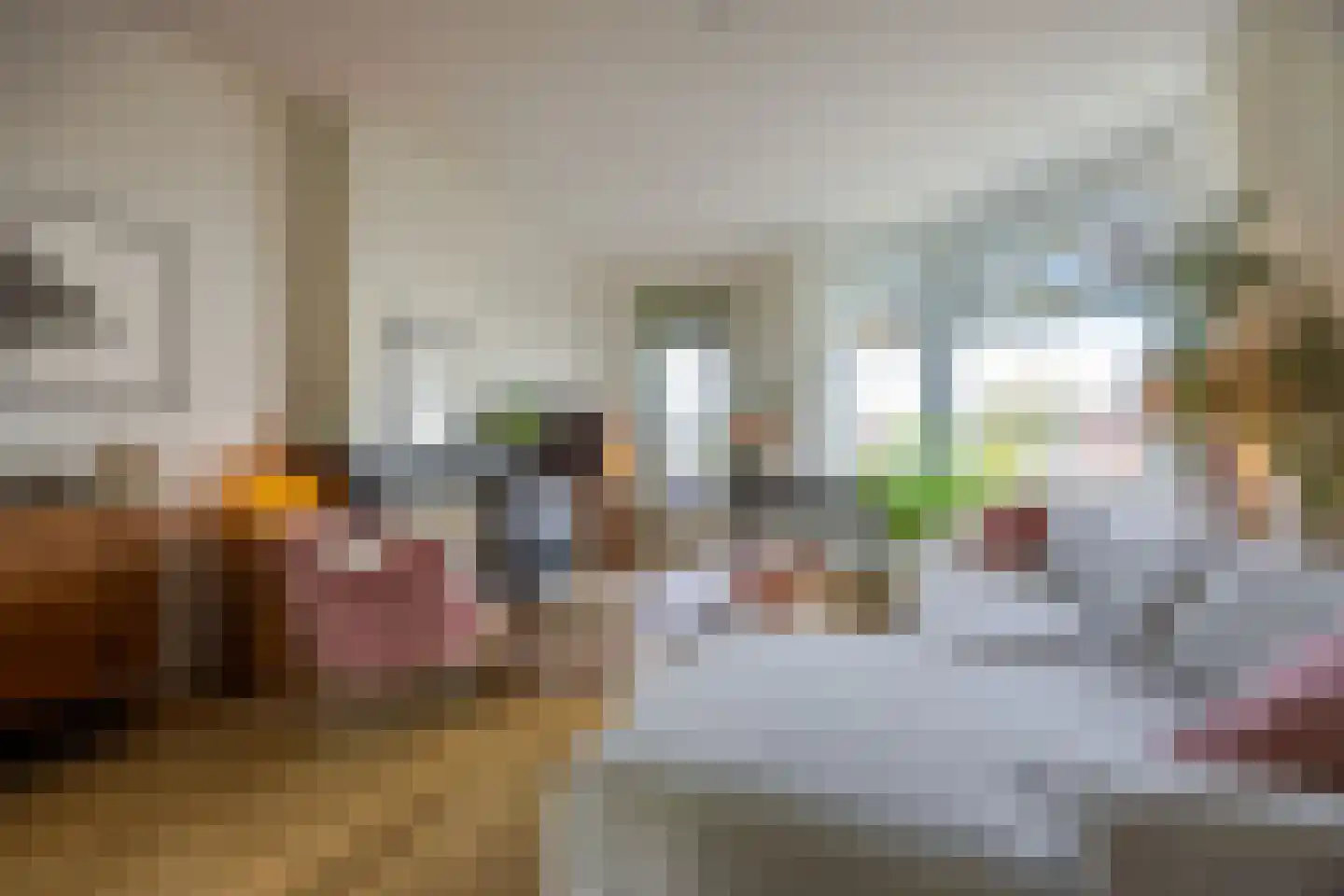 van Halewijnlaan 203 Voorburg thumbnail 4