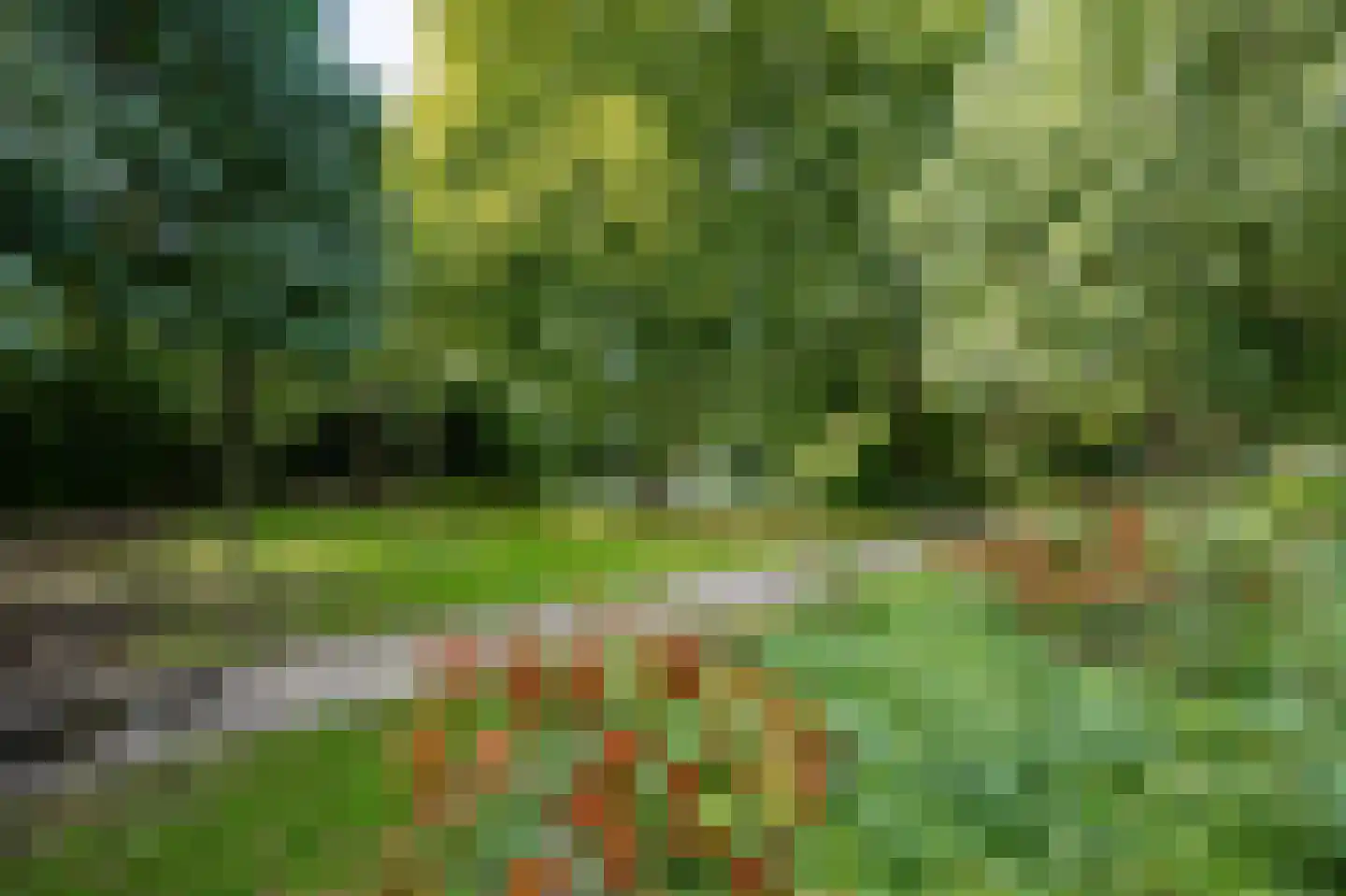 van Halewijnlaan 203 Voorburg thumbnail 44