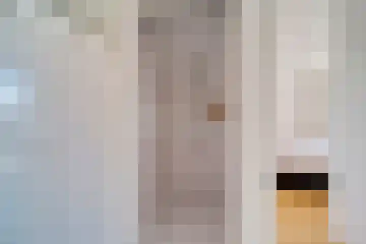 van Halewijnlaan 224 Voorburg thumbnail 16