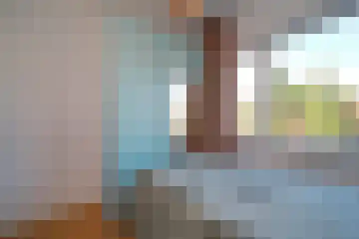 van Halewijnlaan 224 Voorburg thumbnail 21