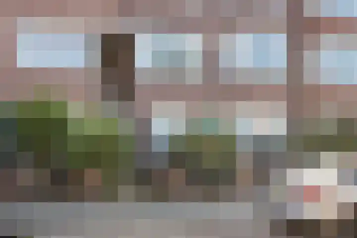 van Halewijnlaan 224 Voorburg thumbnail 25