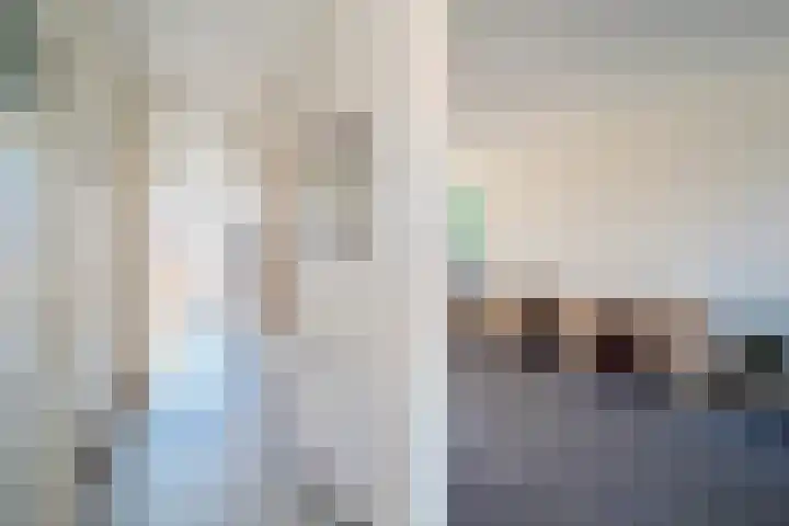 van Halewijnlaan 224 Voorburg thumbnail 8