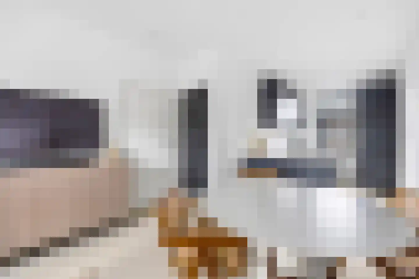 van Halewijnlaan 227 Voorburg thumbnail 11