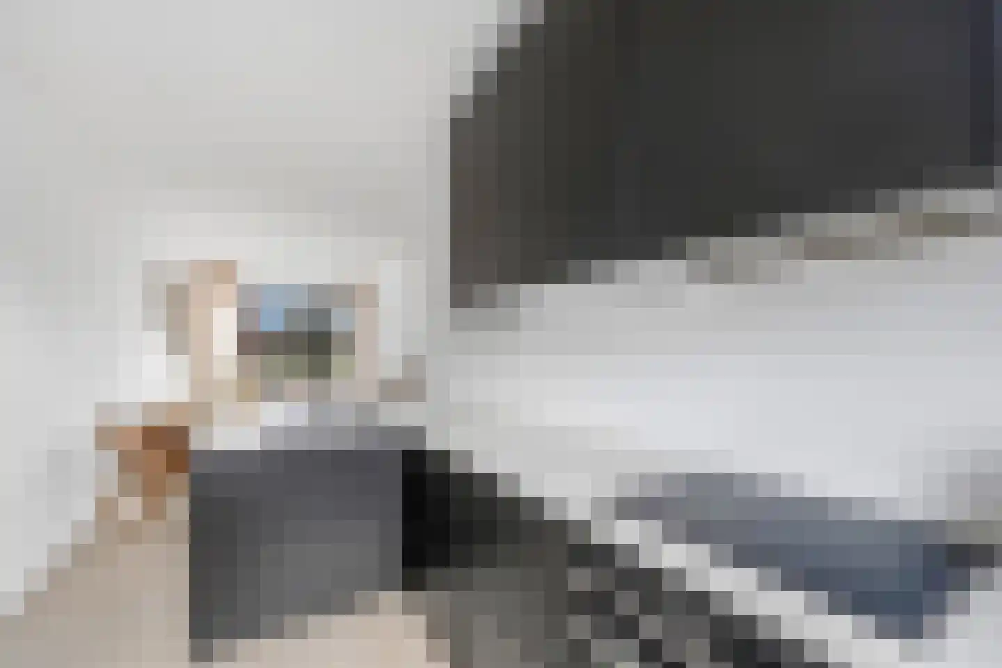 van Halewijnlaan 227 Voorburg thumbnail 13