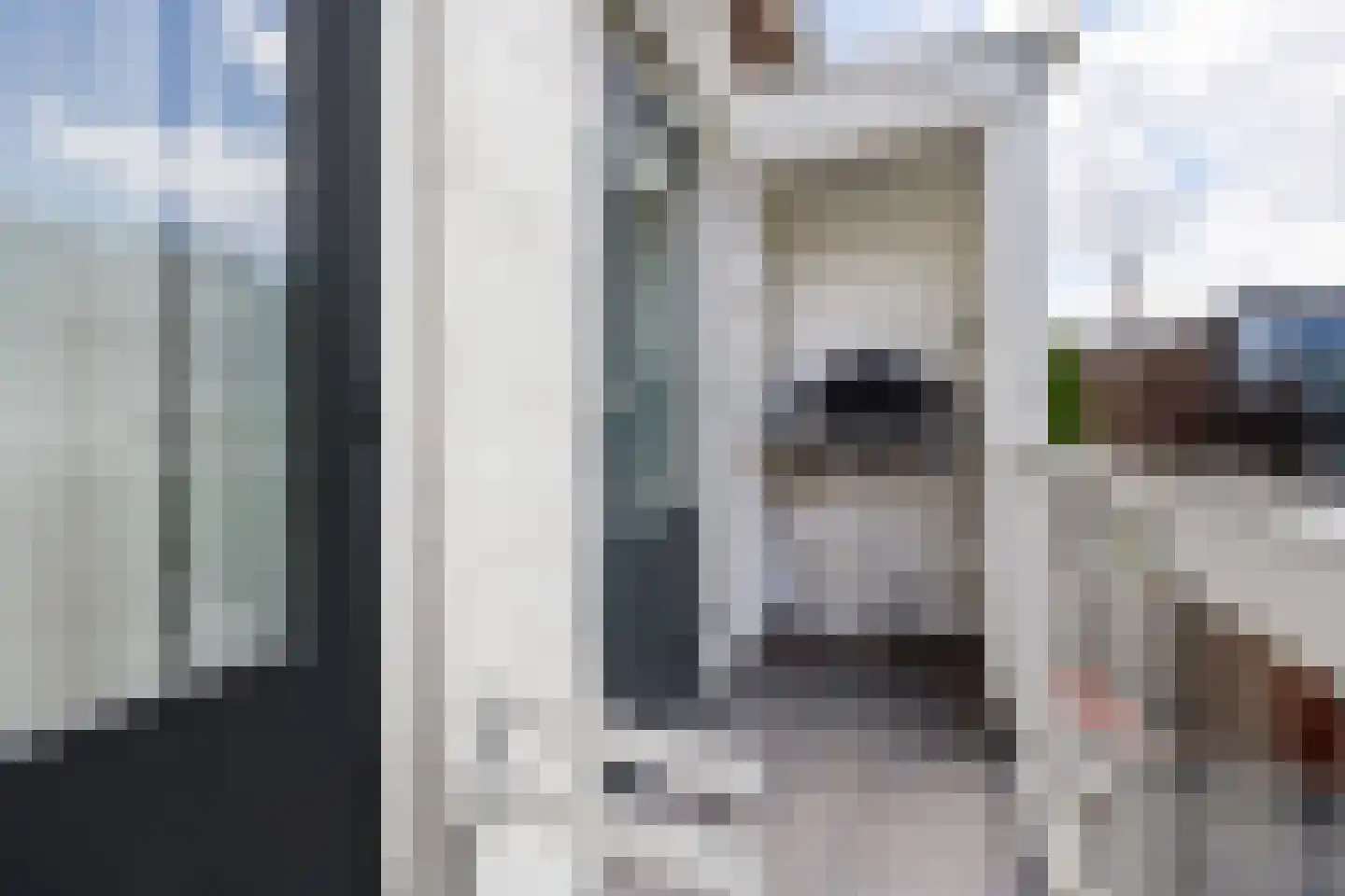 van Halewijnlaan 227 Voorburg thumbnail 18