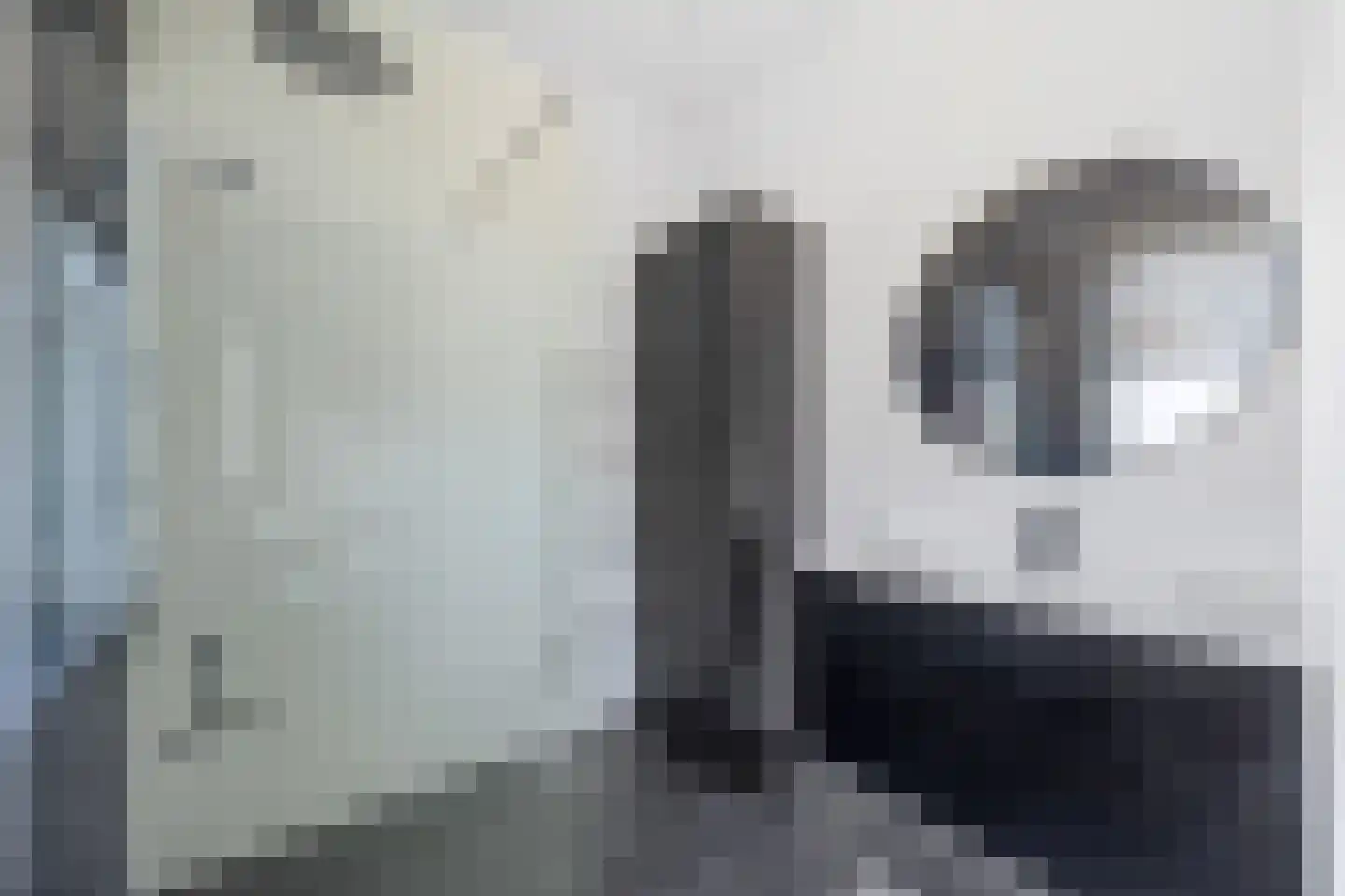 van Halewijnlaan 227 Voorburg thumbnail 19