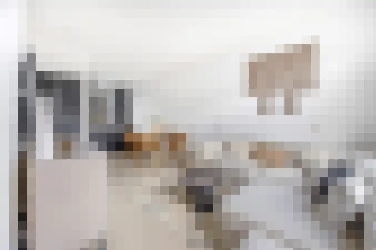van Halewijnlaan 227 Voorburg thumbnail 7