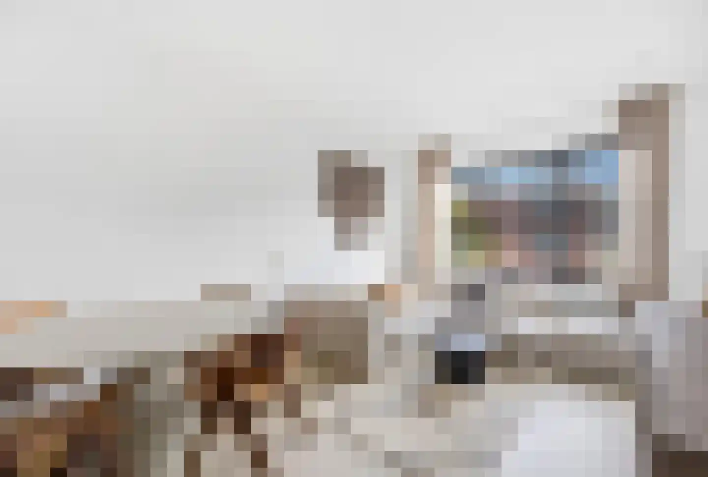 van Halewijnlaan 227 Voorburg thumbnail 9