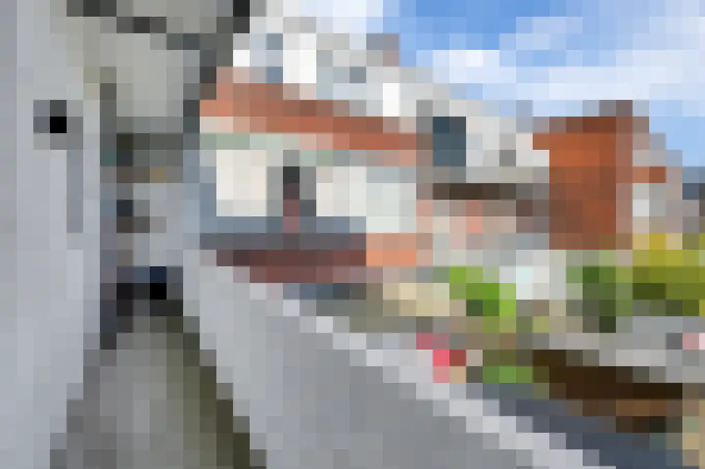 van Halewijnlaan 282 Voorburg thumbnail 17