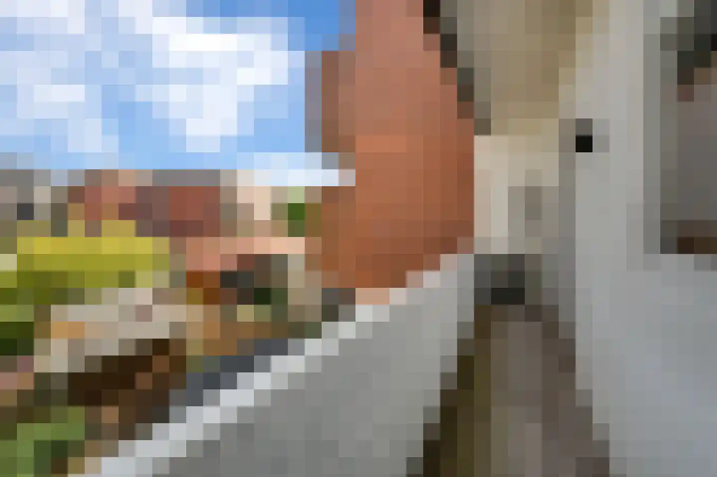 van Halewijnlaan 282 Voorburg thumbnail 18