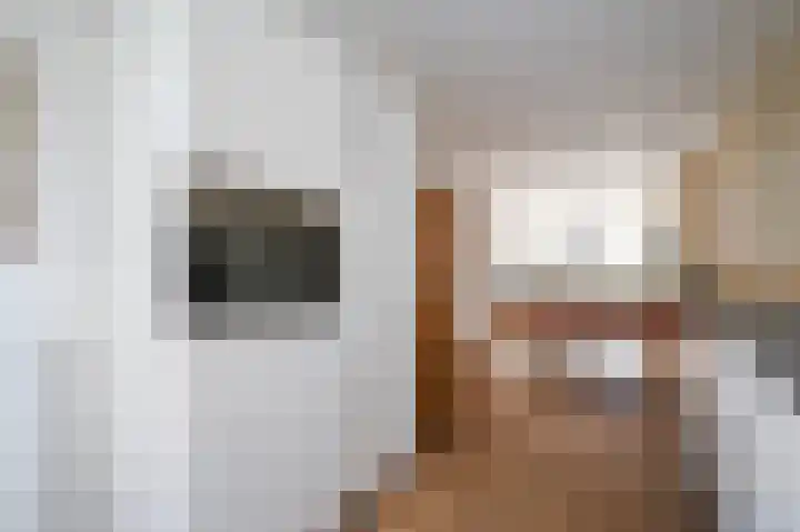 van Halewijnlaan 299 Voorburg thumbnail 19