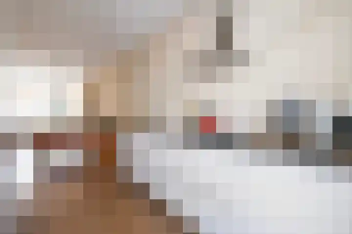 van Halewijnlaan 299 Voorburg thumbnail 20