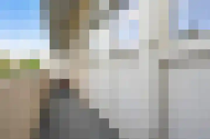 van Halewijnlaan 299 Voorburg thumbnail 22