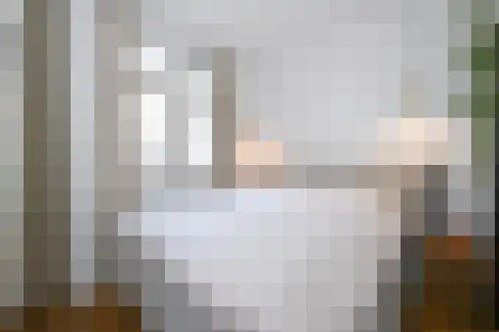 van Halewijnlaan 299 Voorburg thumbnail 23