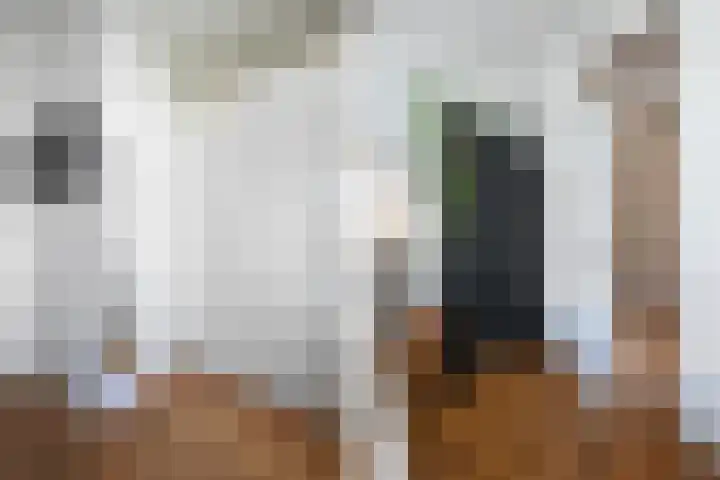 van Halewijnlaan 299 Voorburg thumbnail 25