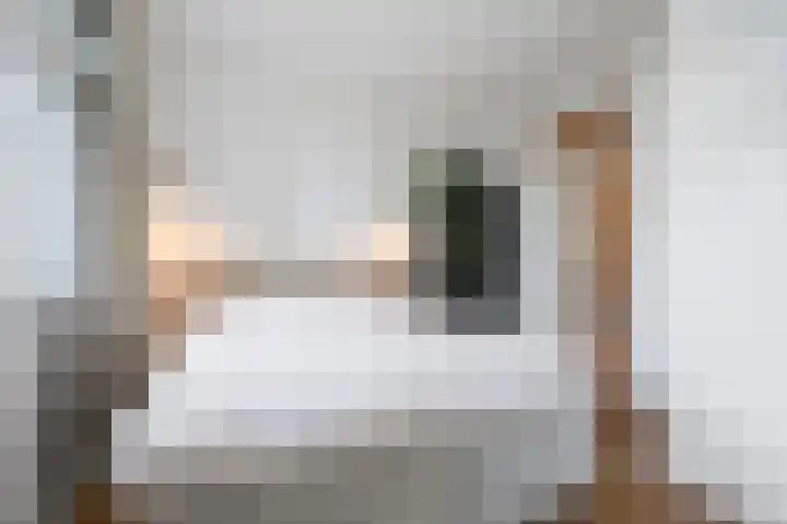 van Halewijnlaan 299 Voorburg thumbnail 26