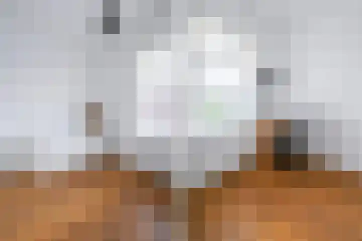 van Halewijnlaan 299 Voorburg thumbnail 28