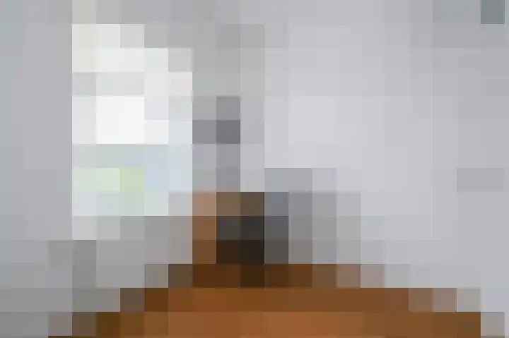 van Halewijnlaan 299 Voorburg thumbnail 29