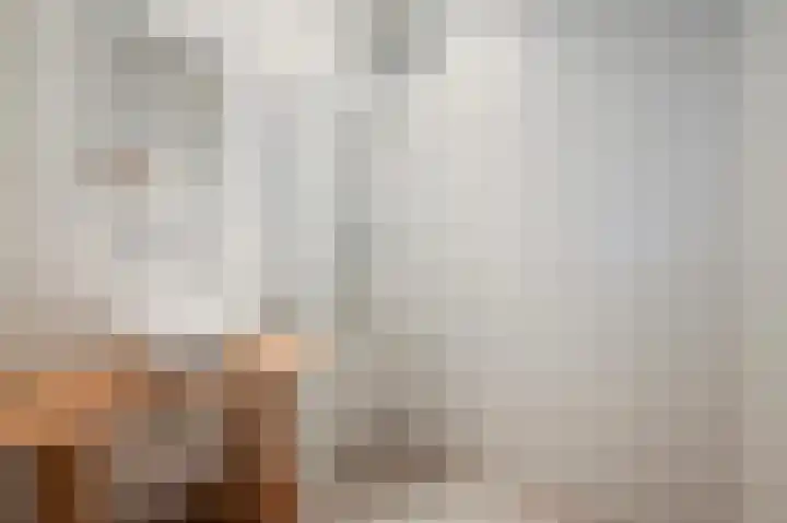 van Halewijnlaan 299 Voorburg thumbnail 32