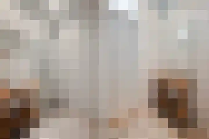 van Halewijnlaan 299 Voorburg thumbnail 33