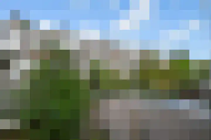 van Halewijnlaan 299 Voorburg thumbnail 35