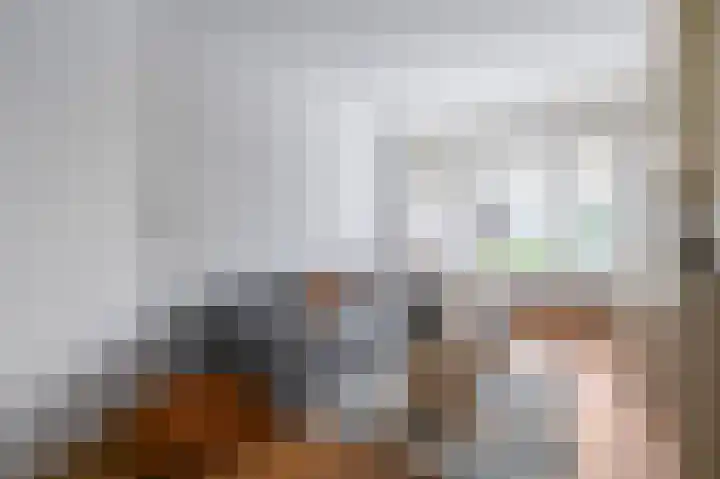 van Halewijnlaan 299 Voorburg thumbnail 7