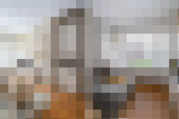 van Halewijnlaan 299 Voorburg thumbnail 8