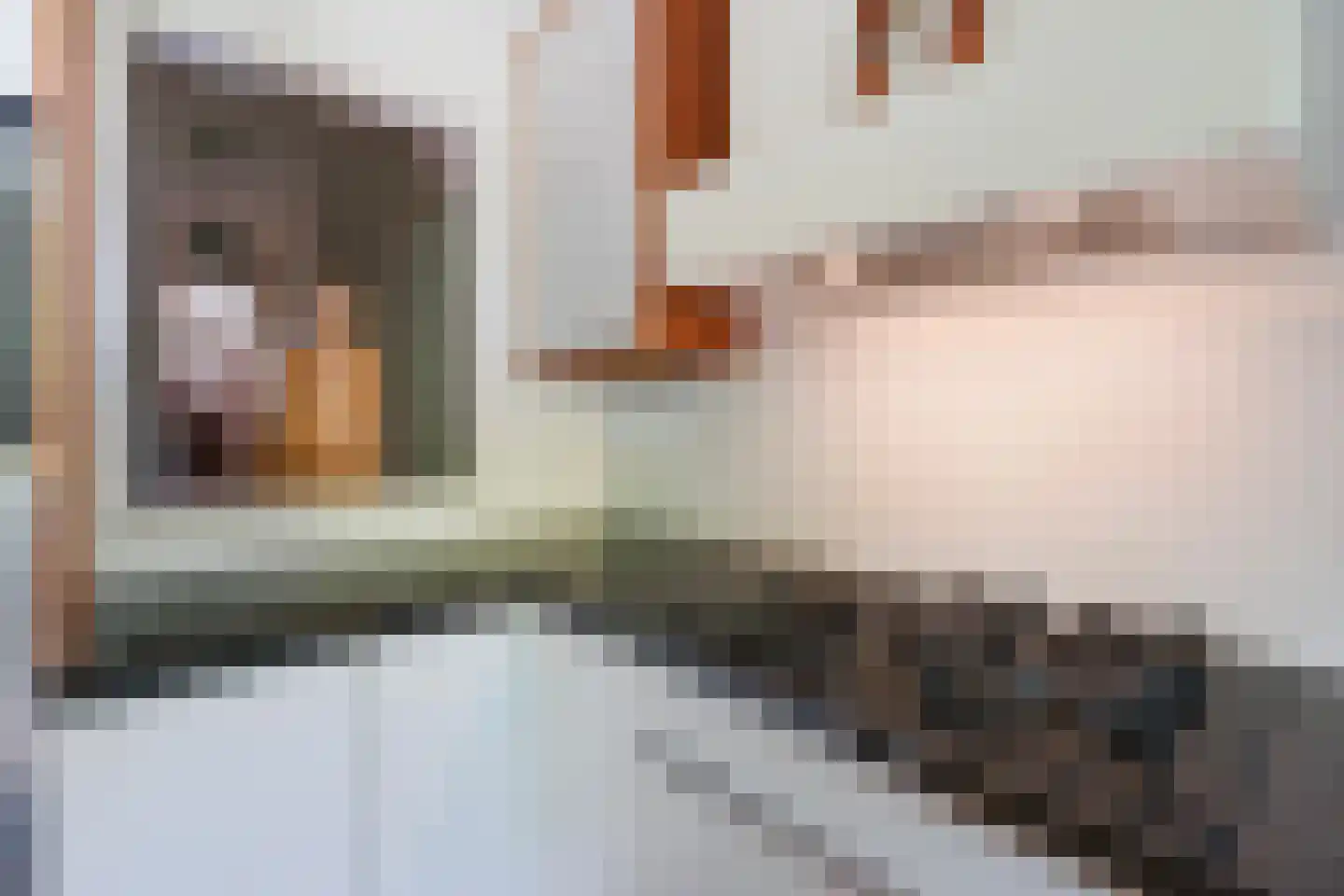 van Halewijnlaan 322 Voorburg thumbnail 12