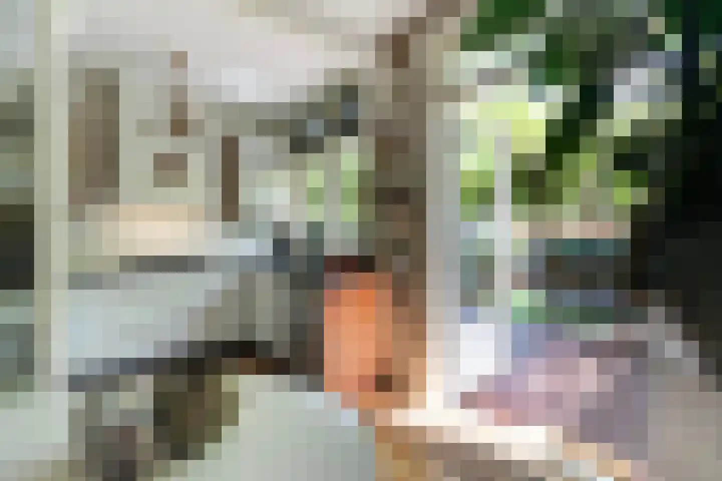 van Halewijnlaan 322 Voorburg thumbnail 13