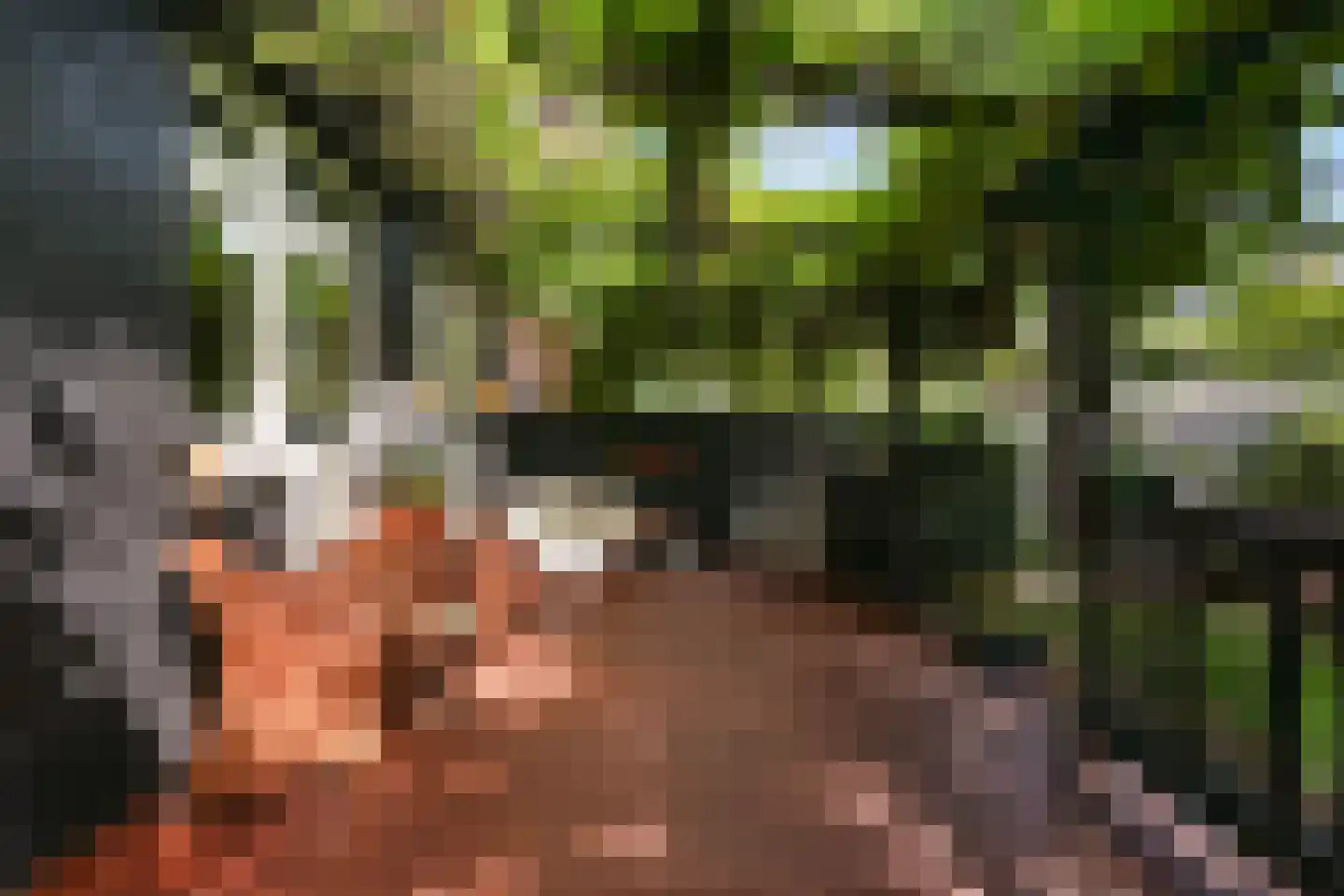 van Halewijnlaan 322 Voorburg thumbnail 15
