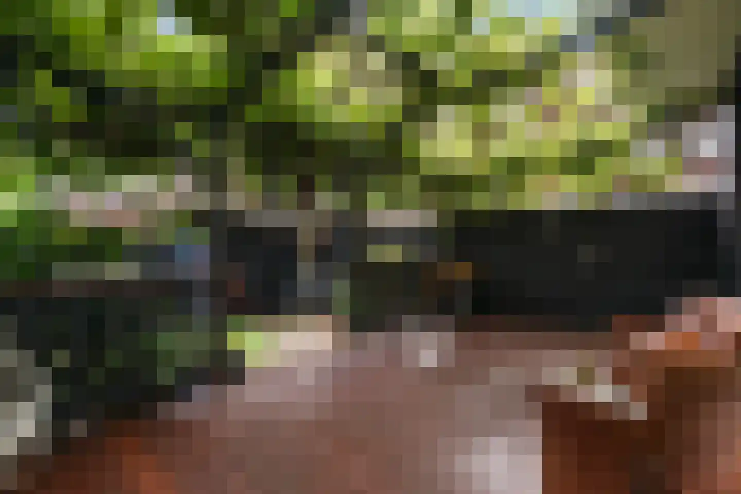 van Halewijnlaan 322 Voorburg thumbnail 16