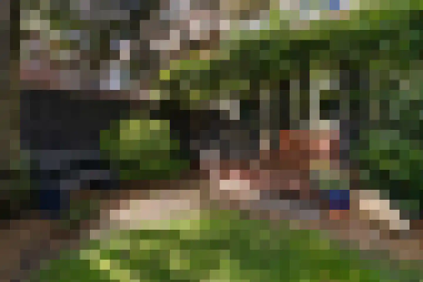 van Halewijnlaan 322 Voorburg thumbnail 17